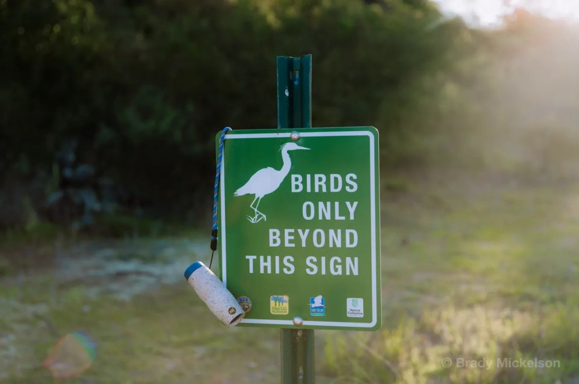 Nocs Provisions partners with the National Audubon Society