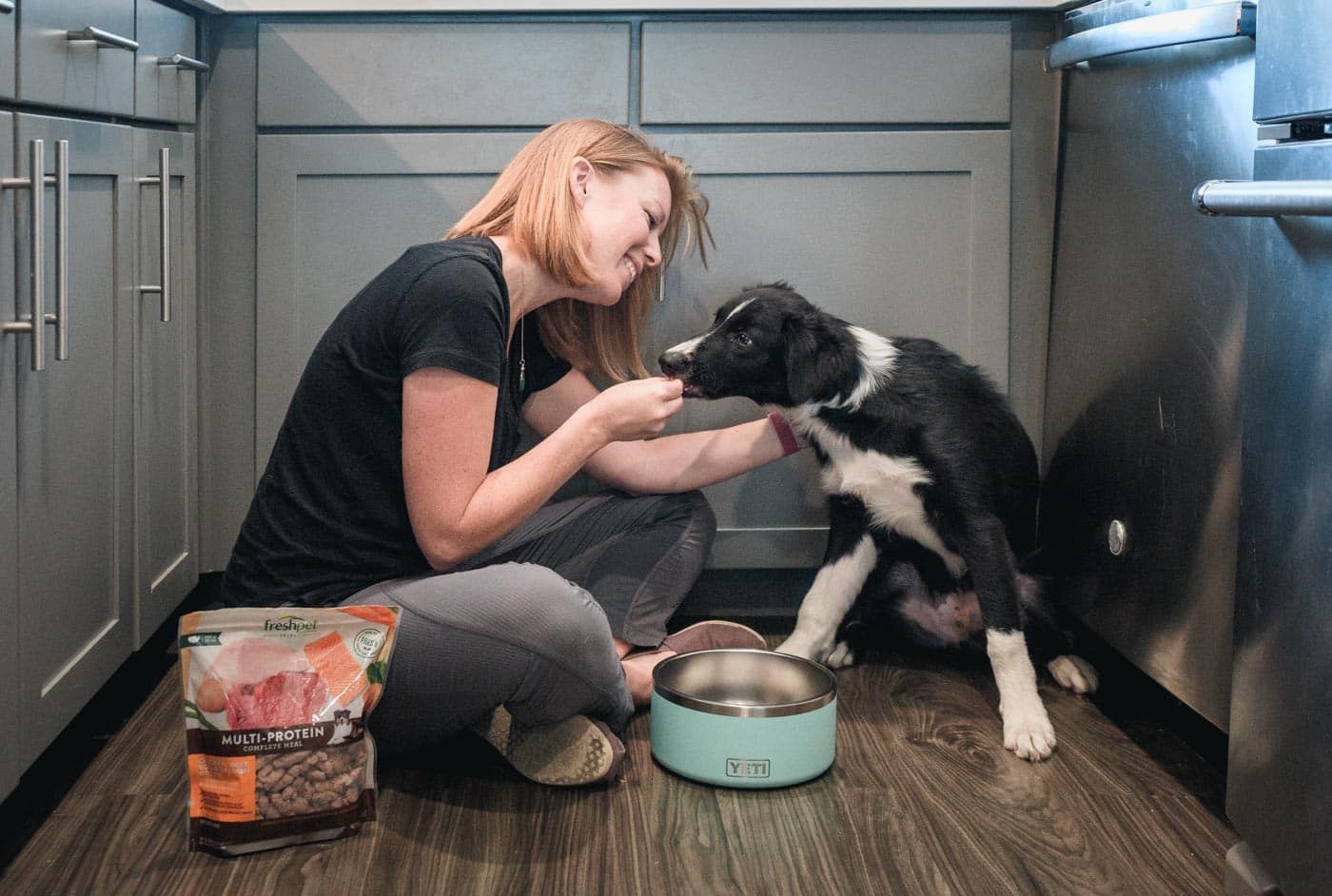 Accelerating our puppys training using high value dog food Freshpet trail and kale web featured 1