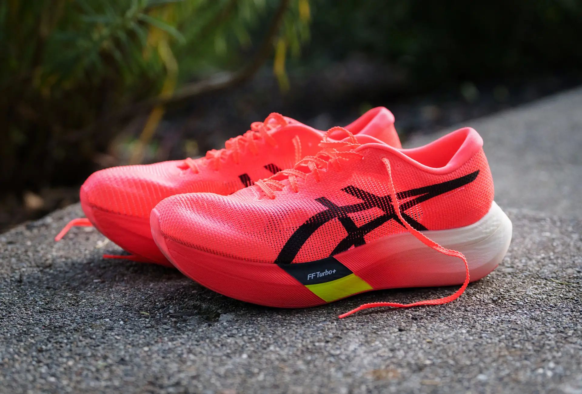 ASICS Metaspeed Sky Paris Review