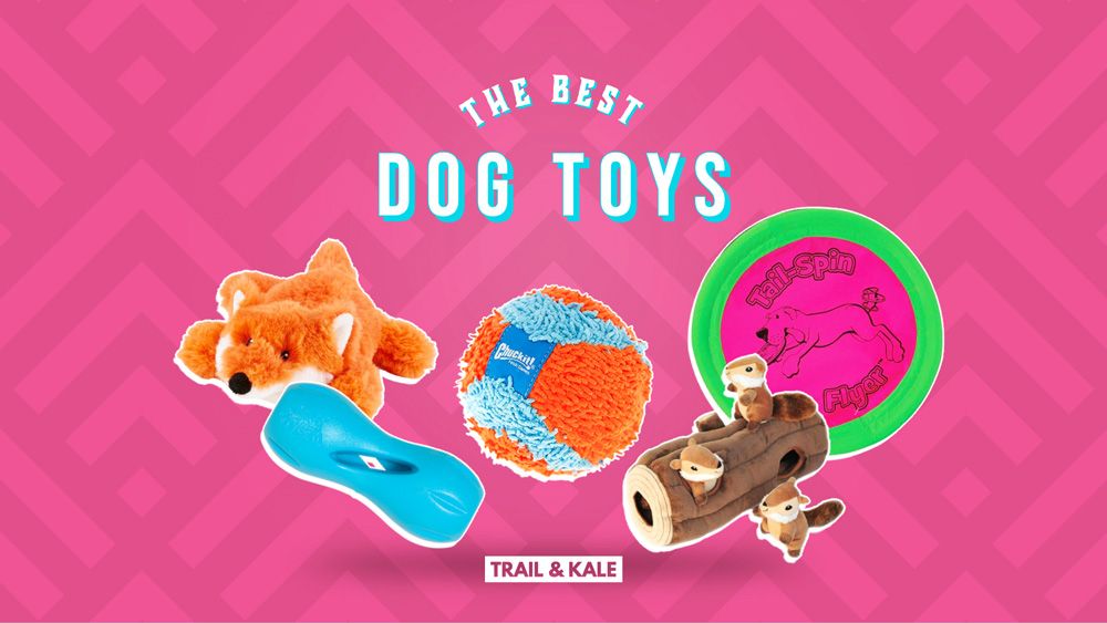 Best Dog Toys