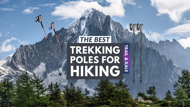 Best Trekking Poles For Hiking