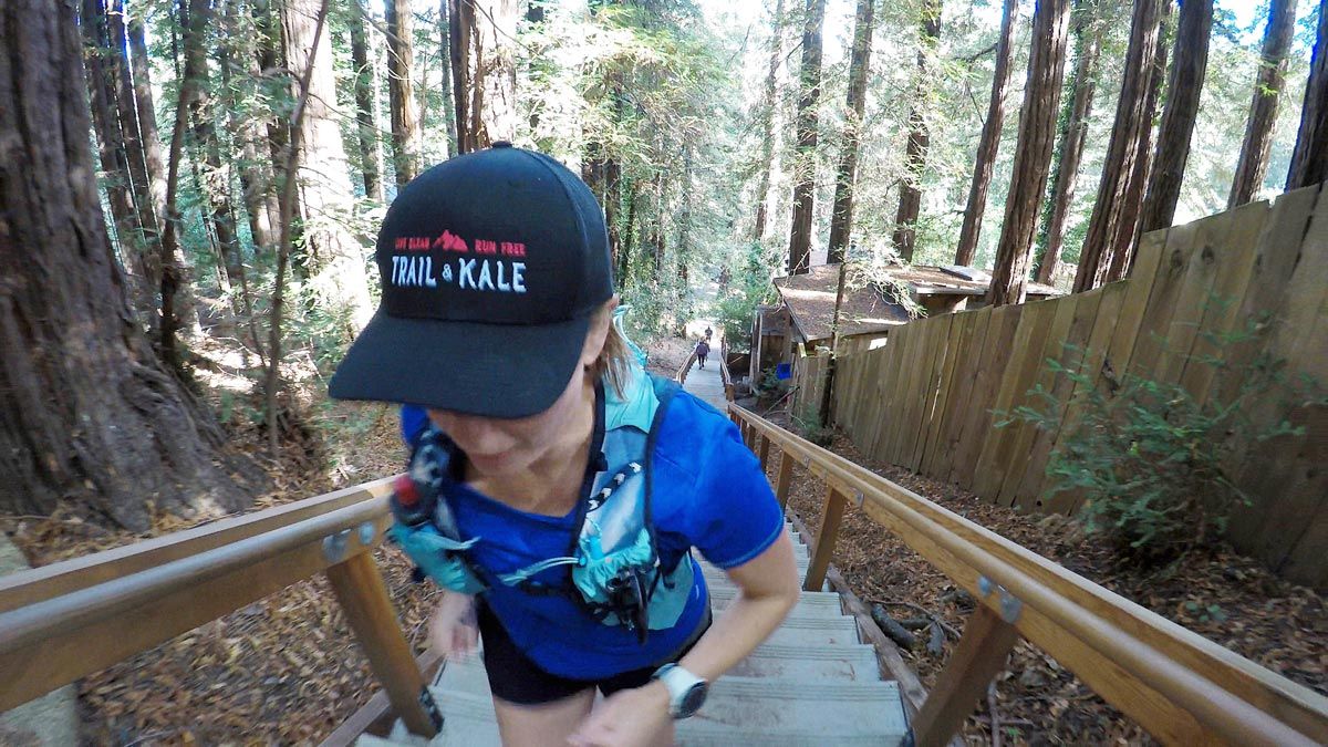 Dipsea Trail Mill Valley to Stinson Beach web