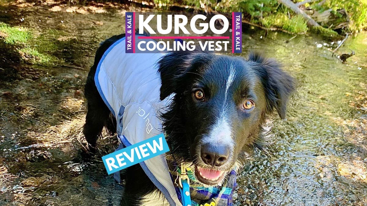 Kurgo Cooling Vest Review Trail and Kale