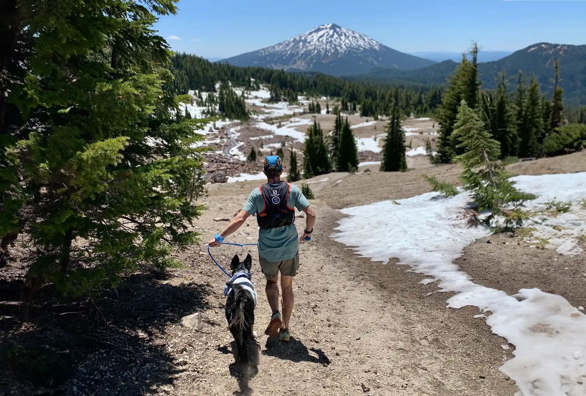 Running with your dog 2024