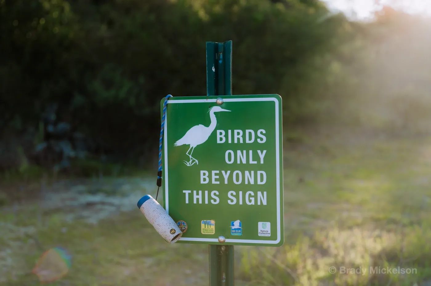 Nocs Provisions partners with the National Audubon Society