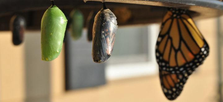 Começa a Investir no Teu Potencial