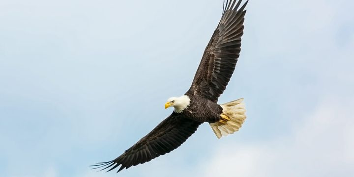 A autenticidade é o nosso maior poder pessoal