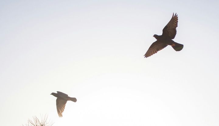 War Christus Datenschützer?