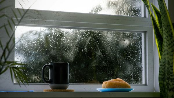 A cozy indoor windowsill on a rainy day featuring a warm coffee mug and a pastry, framed by green houseplants with soft rain droplets visible on the glass windowpane.