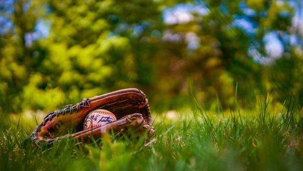 A close-up photograph of a leather baseball glove holding a baseball with signatures on it, resting in lush green grass under a sunlit tree canopy.
