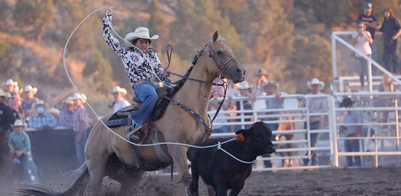 There's a Rodeo in Town!
