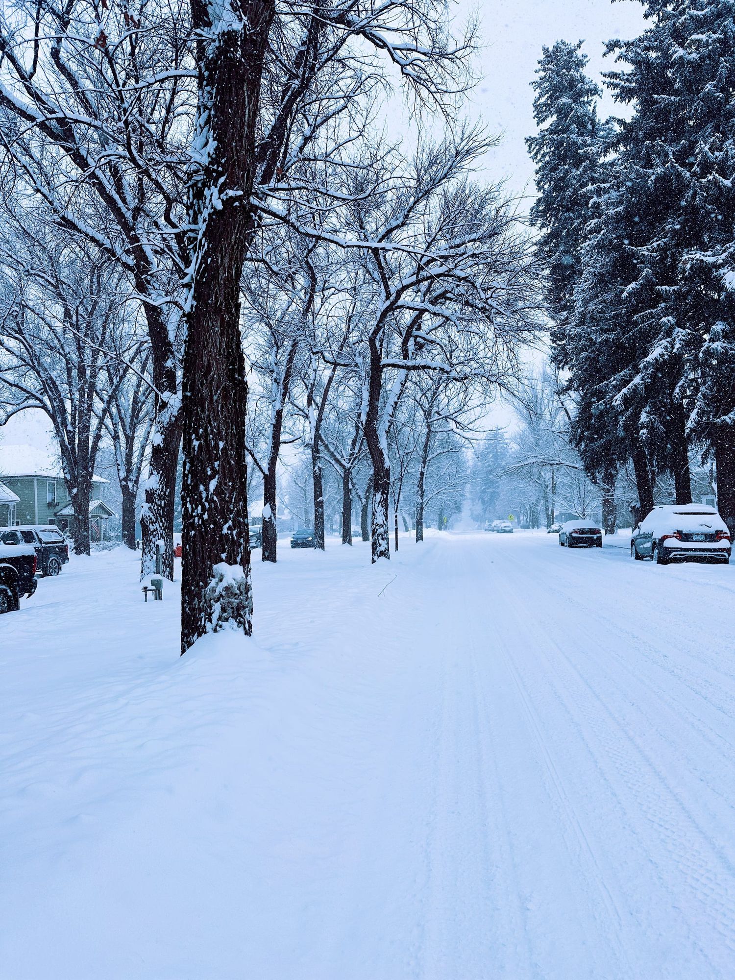 Go Durango - Winter Edition