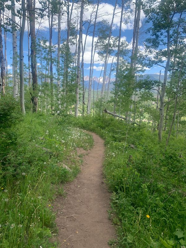 My Top 5 Durango Hikes