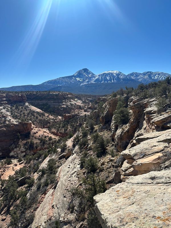 Go Durango - Spring Has Sprung?