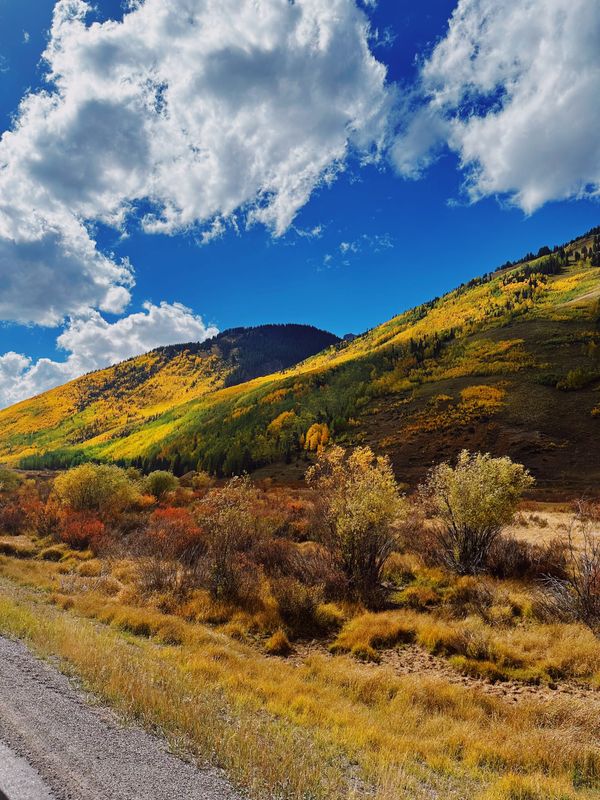 Leaf Peeping Around Durango: Peak Fall Colors Coming Soon!