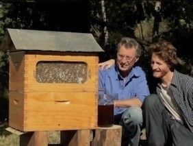 Fake Flow Hives / Counterfeits