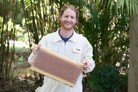 Fake Flow Hives / Counterfeits