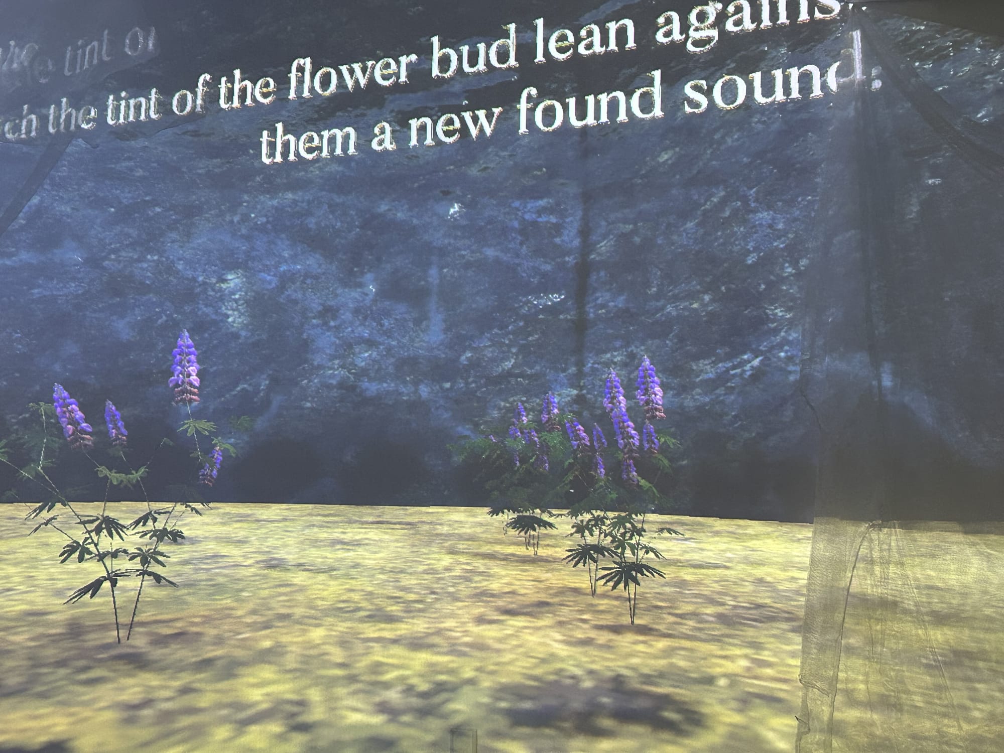 Lofi digital graphics of flowers on a plain against a mountain wall. Partial sentence above the flowers reads "the tint of the flower bud lean against...them a new found sound."