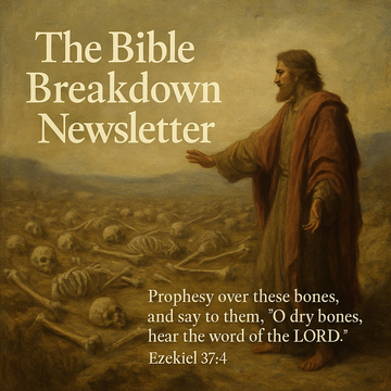 🦴 Bones Come to Life