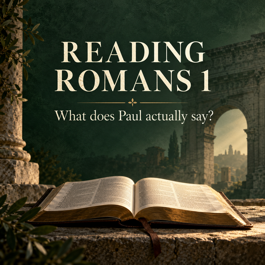 Was Paul Only Condemning Abusive Same-Sex Relationships in Romans 1?