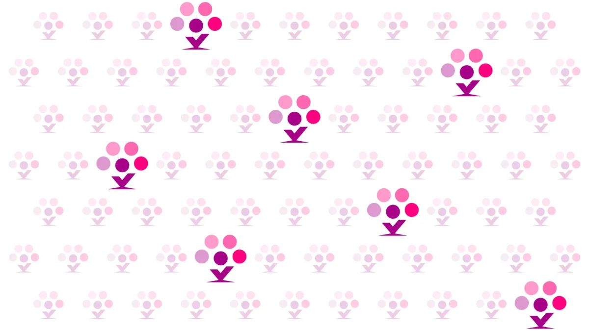 Choirfarm cover image