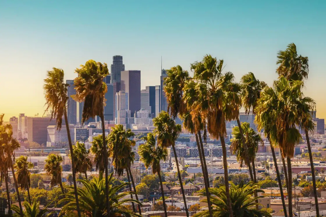 Downtown Los Angeles skyline framed by palm trees at sunset, evoking California's tracking of AI's effect on jobs.