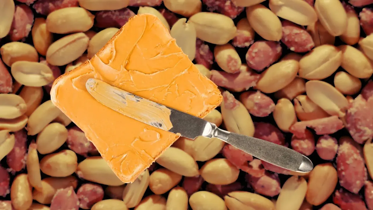 Slice of toast spread with peanut butter, with a butter knife resting on top, set against a background of peanuts.