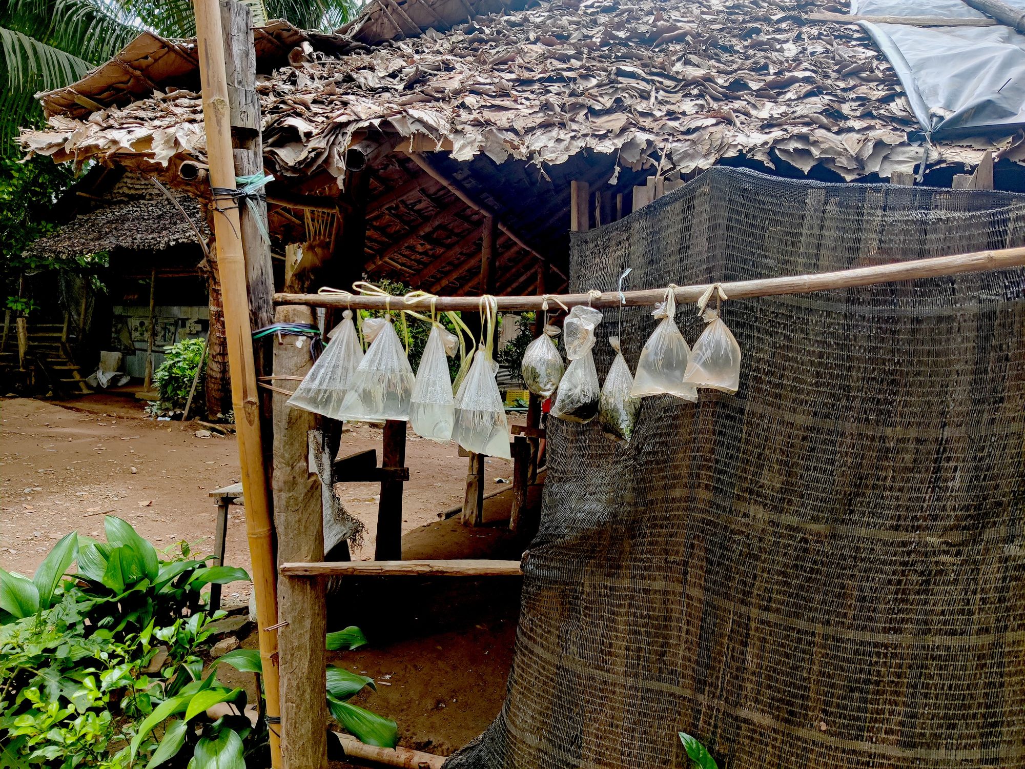Image of the makeshift fire extinguisher for emergency cooking fire