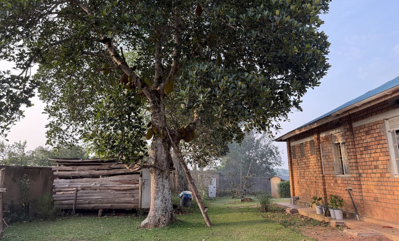 Humble Beginnings. The original shed where the first patients were treated.