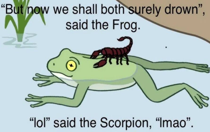 lol lmao