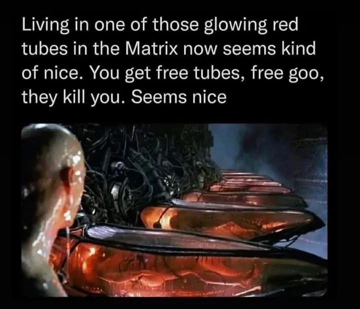 Bald Keanu Reeves (Neo) looks out over a row of red goo pods containing human bodies in that one scene from the Matrix.