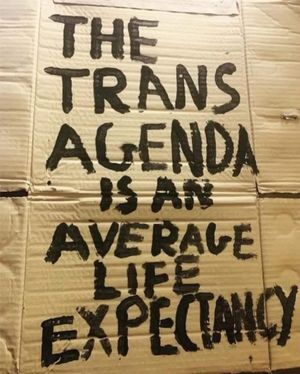 the trans agenda