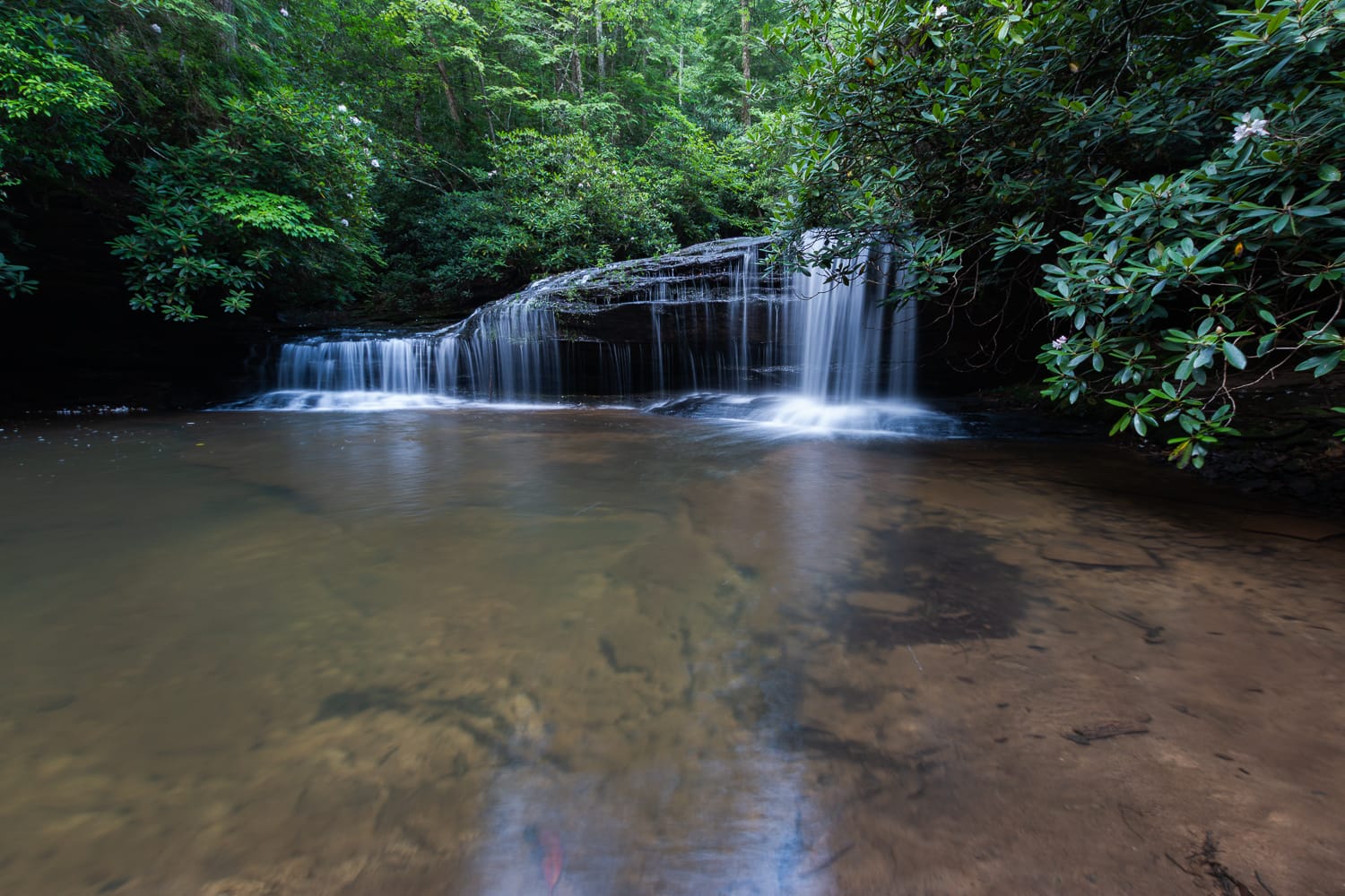 Big Dog Branch Falls - Daniel Boone National Forest, Kentucky.