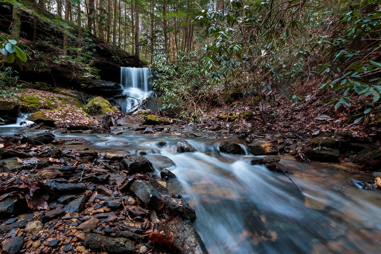 Bolton Branch Falls - Daniel Boone National Forest, Kentucky