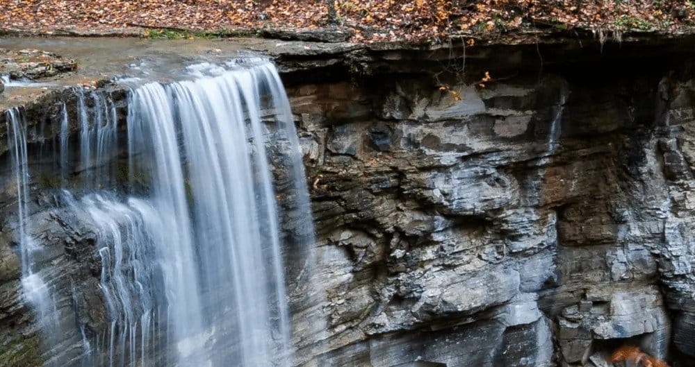 An illustration of the amount of noise in an image shot at ISO 100.