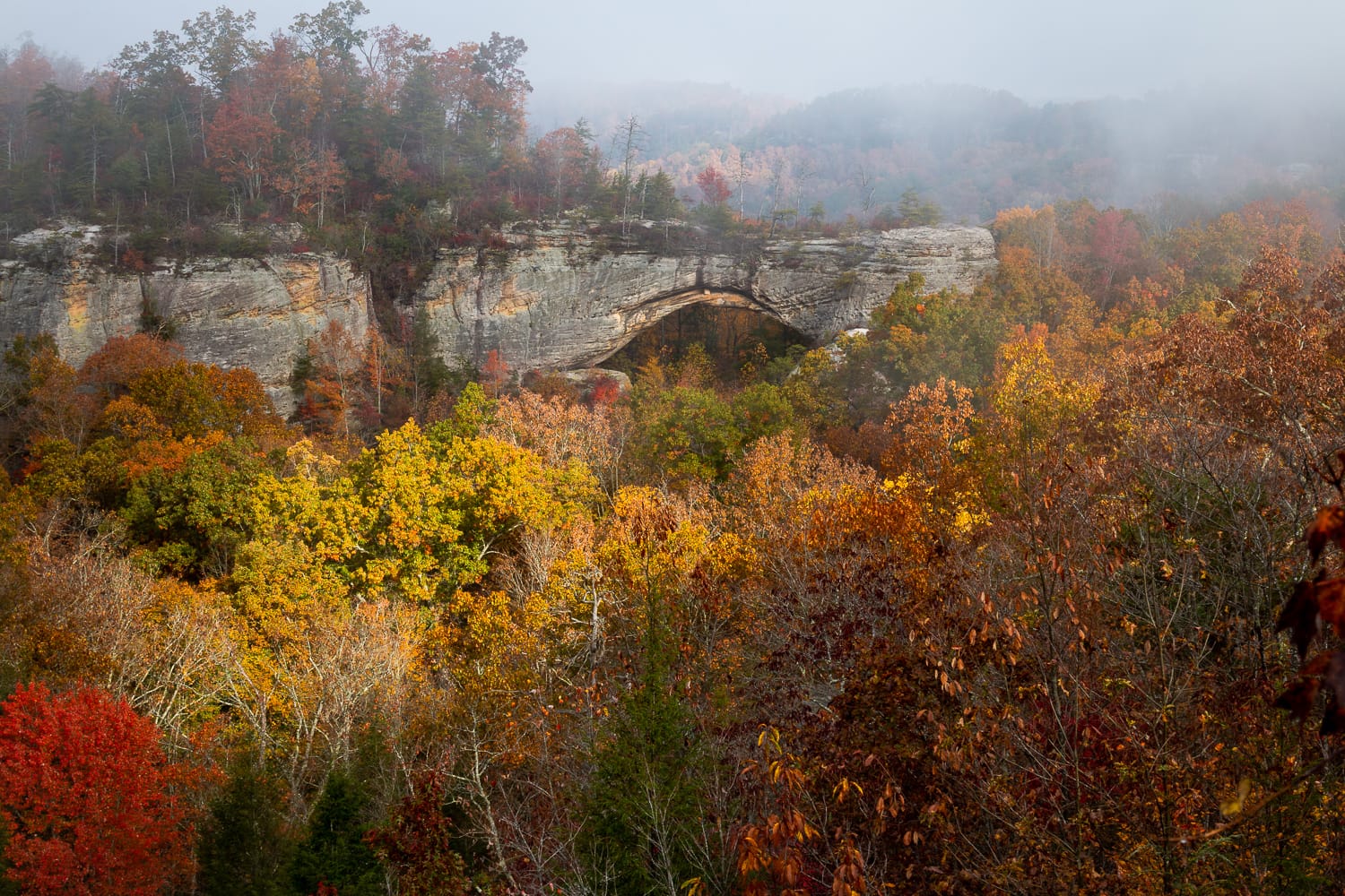 Natural Arch, Daniel Boone National Forest, Kentucky.