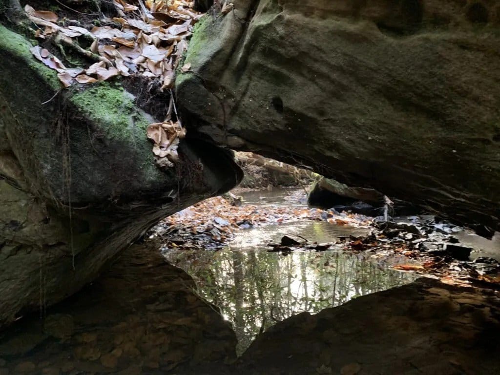A false arch located off-trail in the Daniel Boone National Forest, Kentucky.