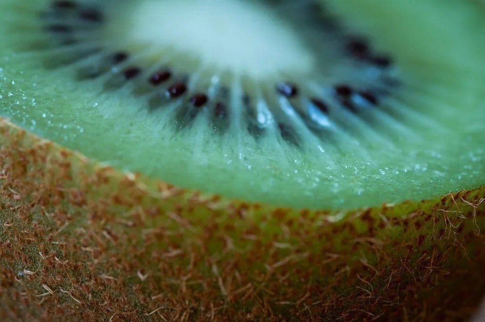 An example of shallow depth of field.