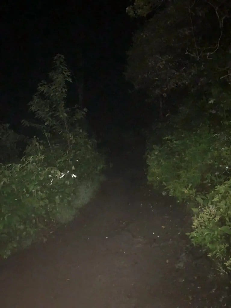 My view for the next 5.5 miles