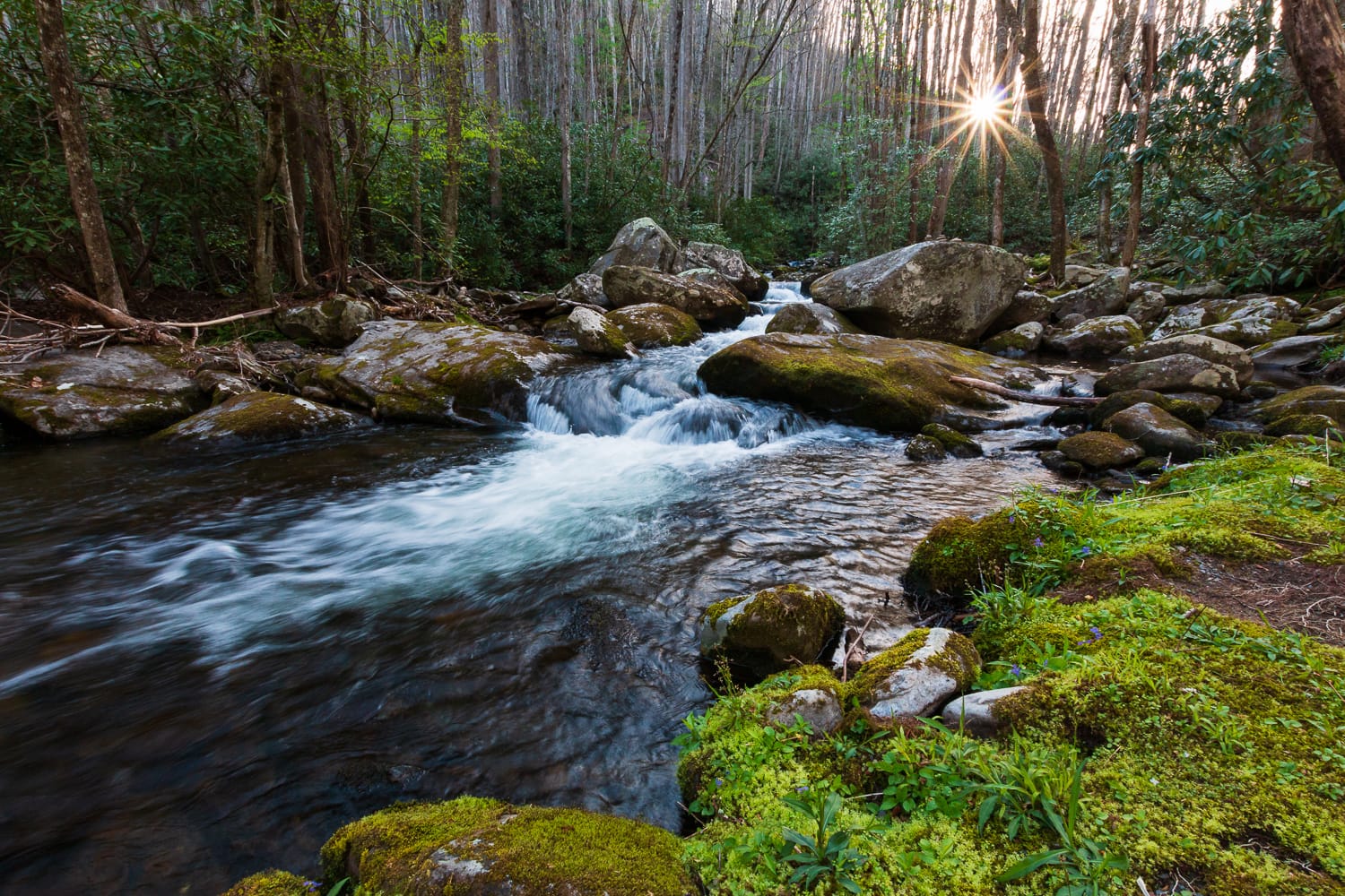 A mountain stream in the Great Smoky Mountains of Tennessee.