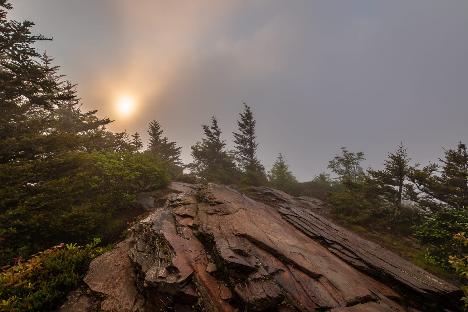 A very foggy sunrise from Myrtle Point on Mt. Leconte - Great Smoky Mountains National Park, Tennessee