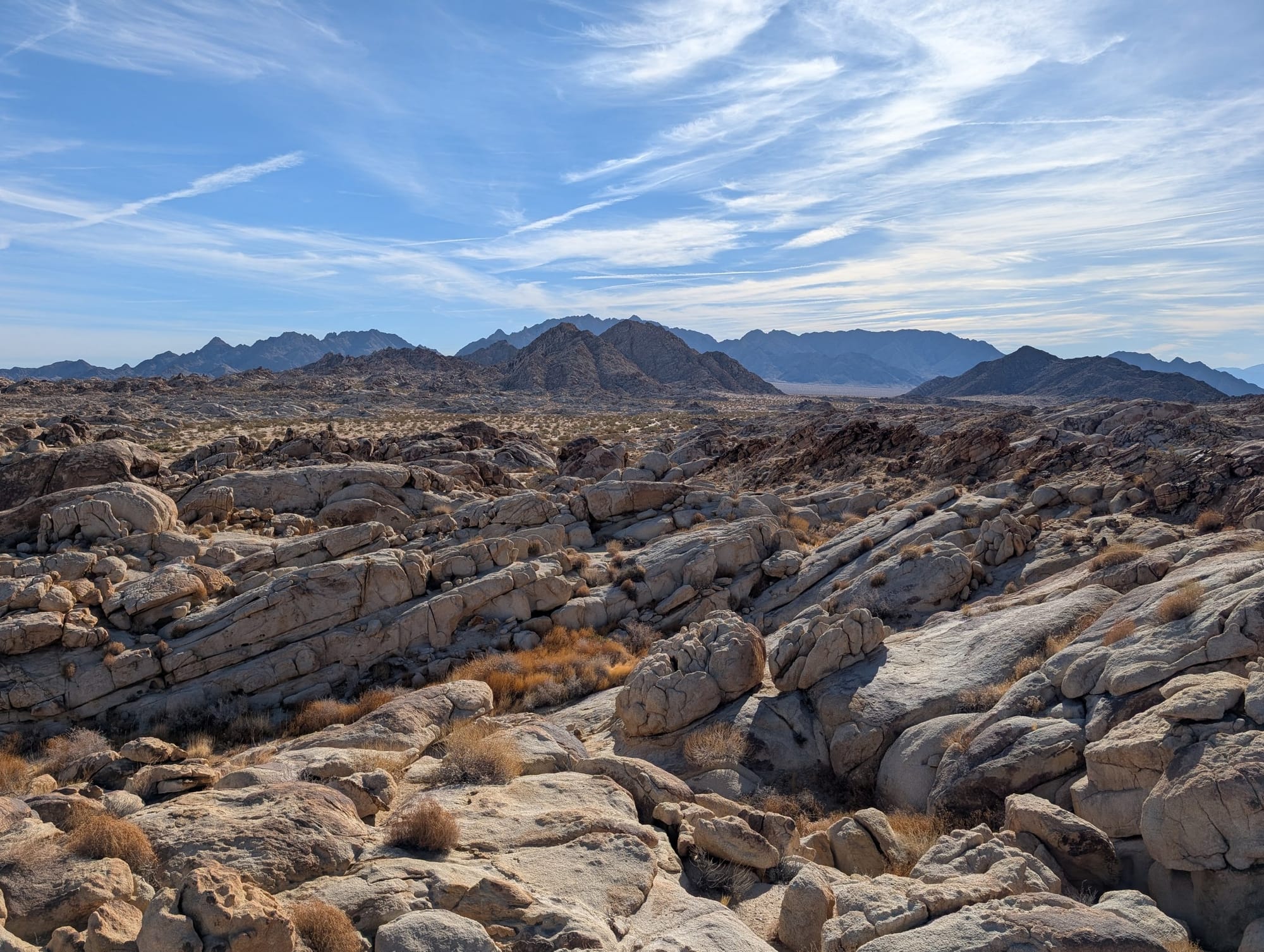 The view across the open desert on our off-trail hike in Joshua Tree National Park, California.