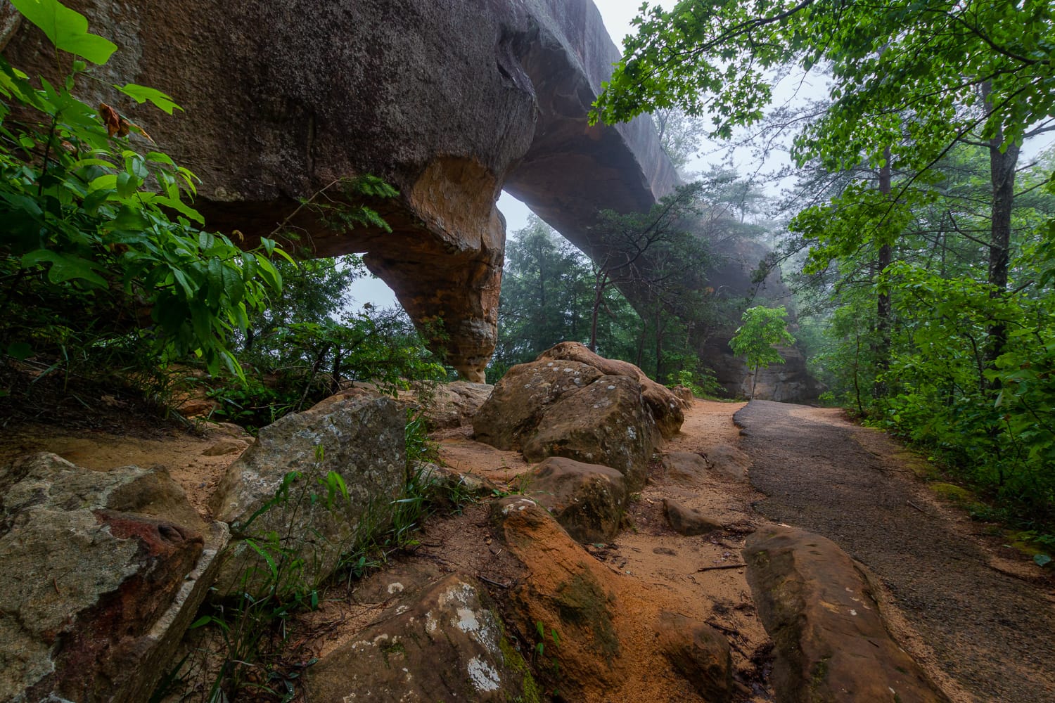 Sky Bridge, Red River Gorge, Kentucky.