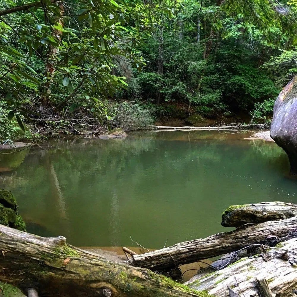 My campsite was along a beautiful stretch of the Swift Camp Creek.