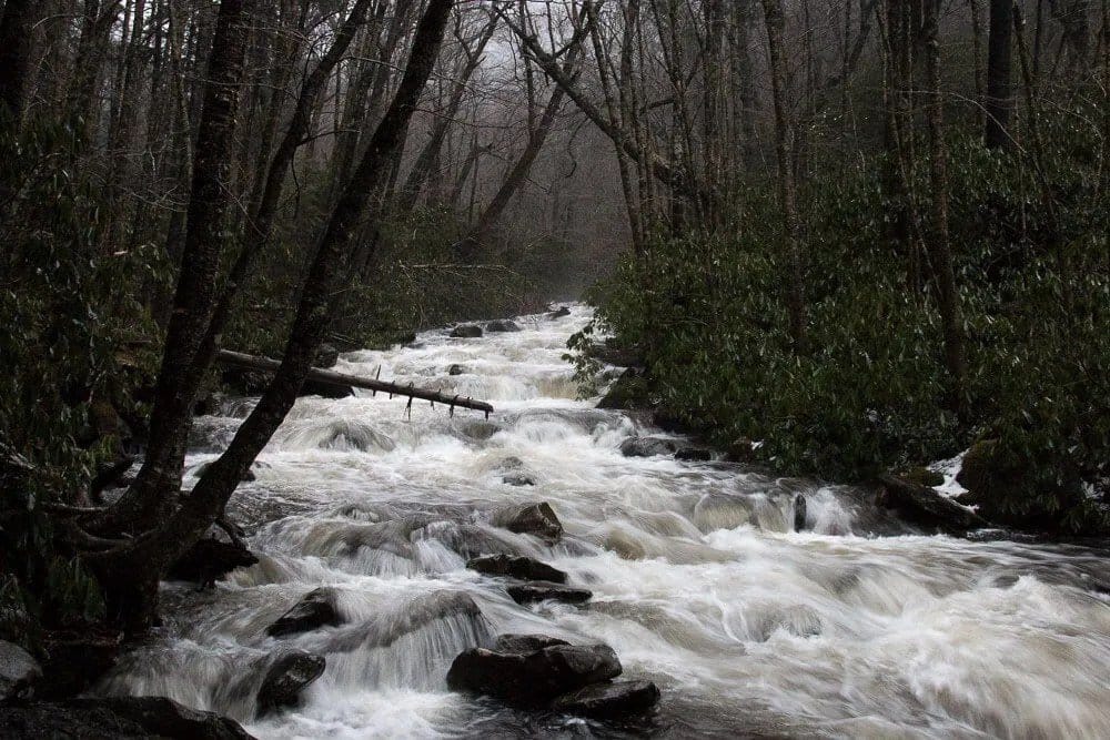 All the rain and snow melt made for some swollen streams.