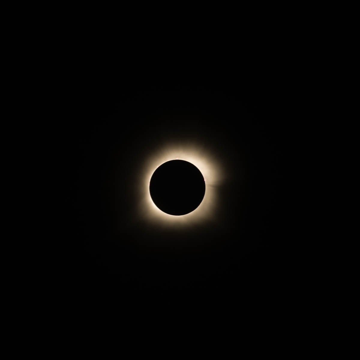 The sun's corona becoming visible as the moon fully eclipsed the sun during the 2024 total solar eclipse in Oklahoma.