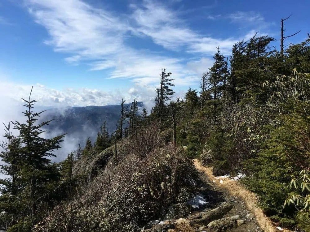 A view from the trail on top of Mt. Leconte.