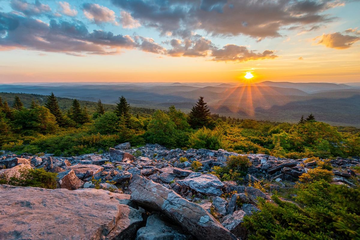 Monongahela National Forest