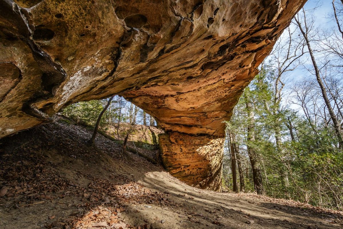 5 Of My Favorite Natural Arches In Kentucky