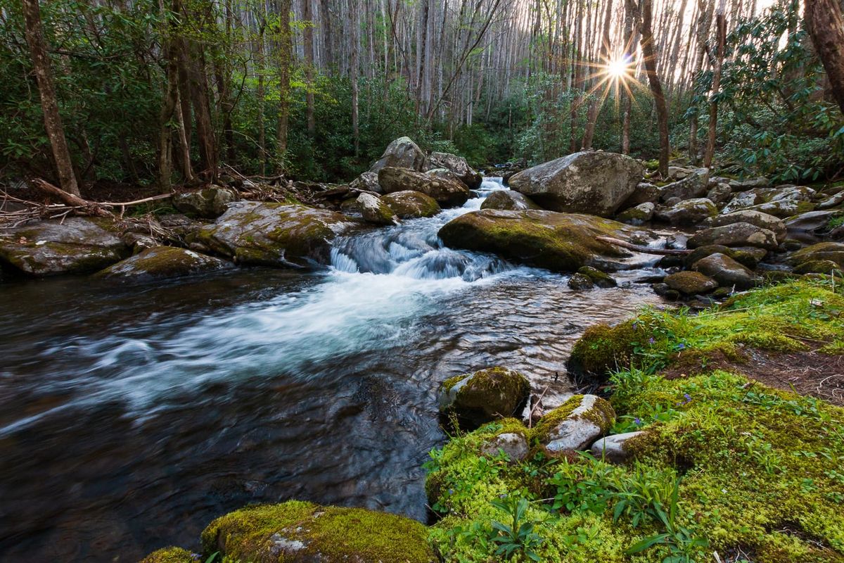My Impromptu Trip To The Great Smoky Mountains